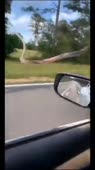 360x640