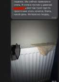 828x1138