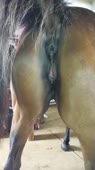 406x720