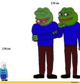 742x765