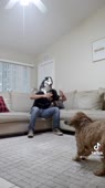 576x1024