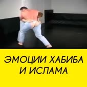 360x360