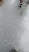 202x360