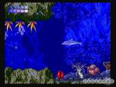 640x480