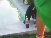 480x360
