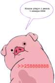 563x841