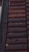 576x1024