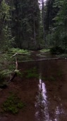 540x960