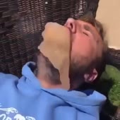 360x360