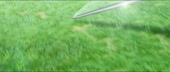 900x383