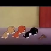 360x360