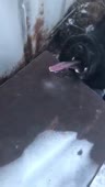 408x720