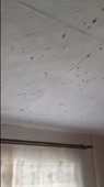 360x640