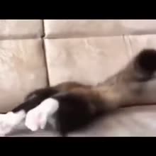 360x360