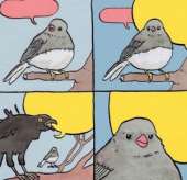 300x291