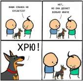 505x491