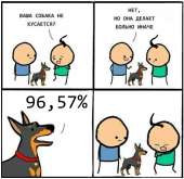 505x491