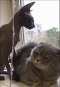 444x640