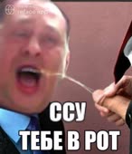 620x720