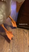 360x640