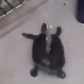 360x360