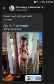 540x822