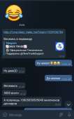 720x1150