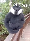 360x480