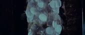 960x396