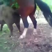 360x360