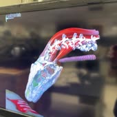 720x720