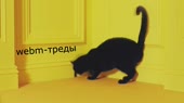 1280x720