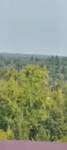 216x480