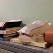 360x360