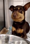 500x720
