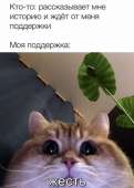 774x1080