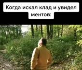 540x466