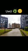 540x960