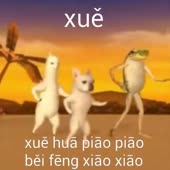 360x360
