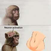 500x500
