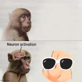 500x500