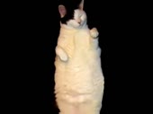 480x360