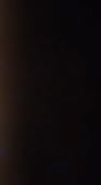 392x712