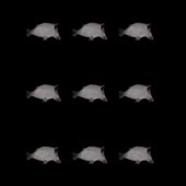 320x320