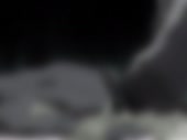 720x540