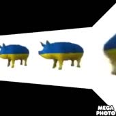 480x480