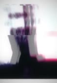 346x500
