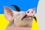 160x105