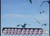 490x360