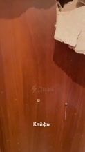480x854